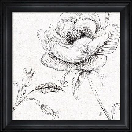 Framed Blossom Sketches II Print