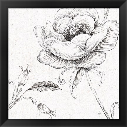 Framed Blossom Sketches II Print