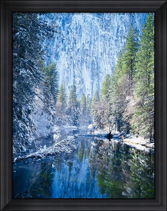 Framed Winter trees along Merced River, Yosemite Valley, Yosemite National Park, California Print