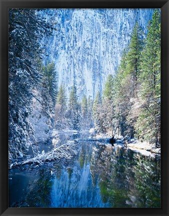 Framed Winter trees along Merced River, Yosemite Valley, Yosemite National Park, California Print