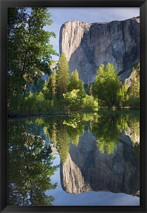 Framed El Capitan reflected in Merced River Yosemite NP, CA Print