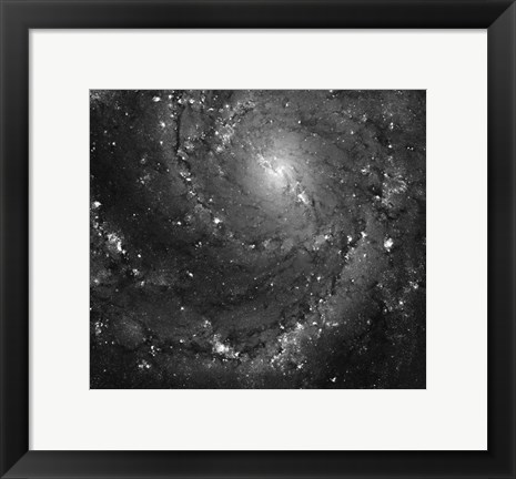 Framed Hubble Space Telescope Imaging of Hot Gas and Star Birth in M101 Print
