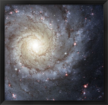 Framed Spiral Galaxy M74 Print