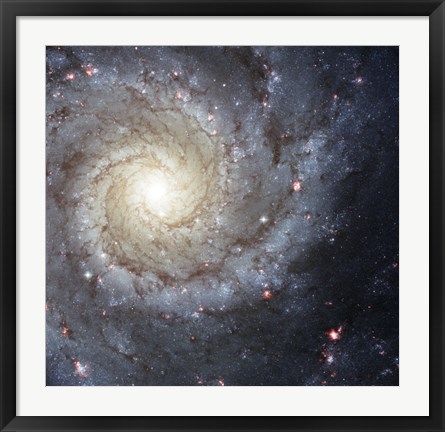 Framed Spiral Galaxy M74 Print