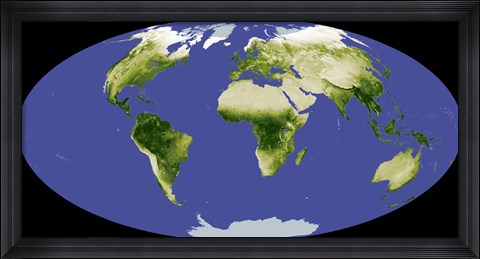 Framed Normalized Difference Vegetation Index Print