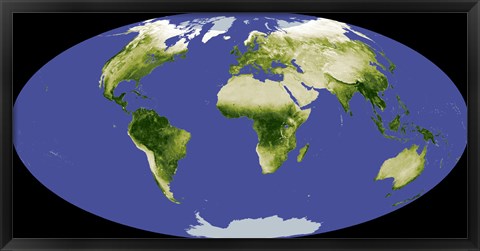 Framed Normalized Difference Vegetation Index Print