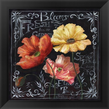 Framed Flowers in Bloom Chalkboard II Print