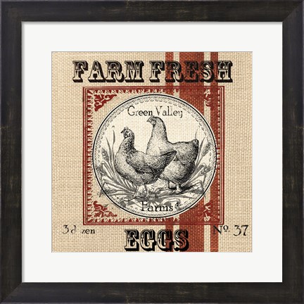 Framed Organic Farm II Print
