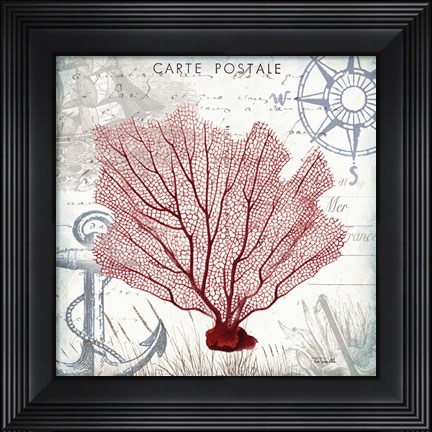 Framed Coastal Sea Life I Print