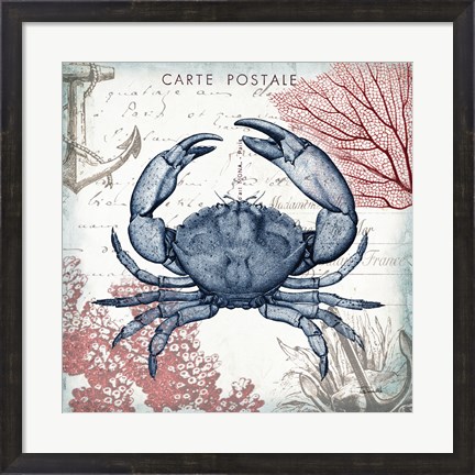 Framed Coastal Sea Life II Print