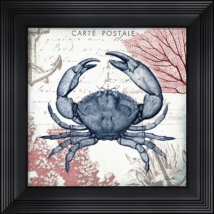 Framed Coastal Sea Life II Print