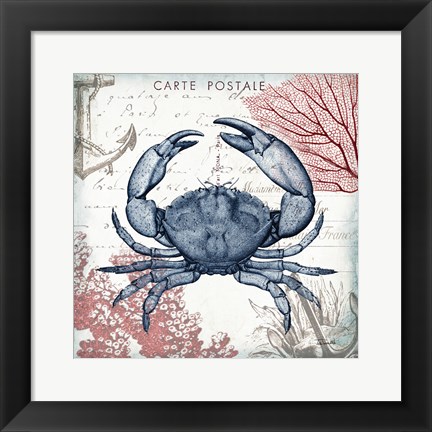 Framed Coastal Sea Life II Print