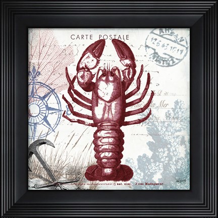 Framed Coastal Sea Life III Print