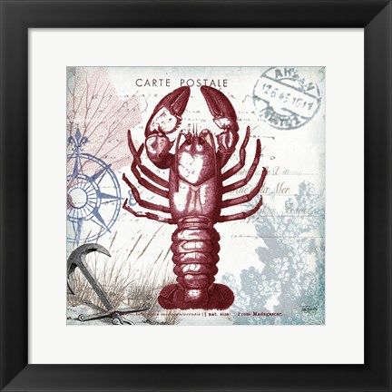 Framed Coastal Sea Life III Print