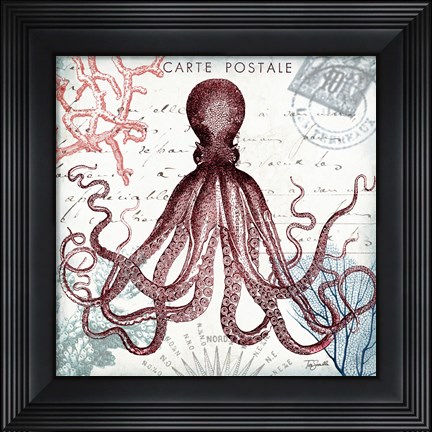 Framed Coastal Sea Life IV Print
