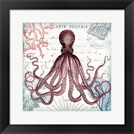 Framed Coastal Sea Life IV Print