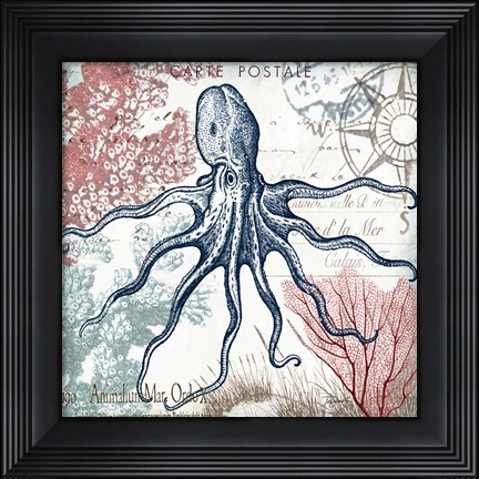 Framed Coastal Sea Life V Print