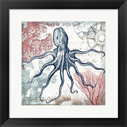 Framed Coastal Sea Life V Print