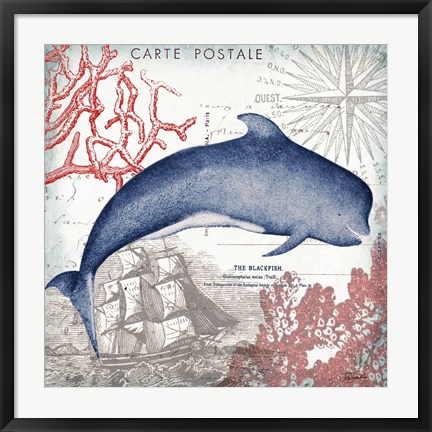 Framed Coastal Sea Life VI Print