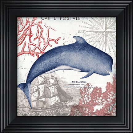Framed Coastal Sea Life VI Print