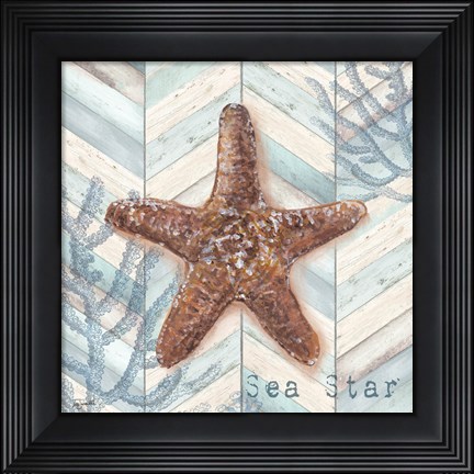 Framed Chevron Shell III Print