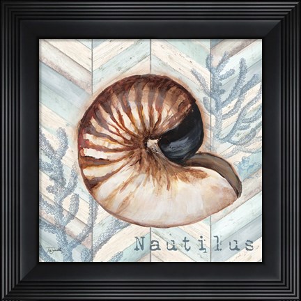 Framed Chevron Shell IV Print