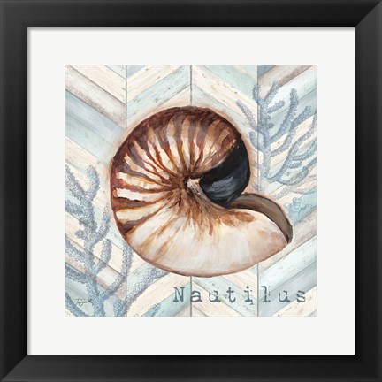 Framed Chevron Shell IV Print