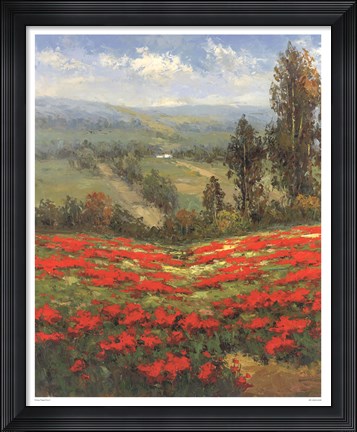 Framed Poppy Vista II Print