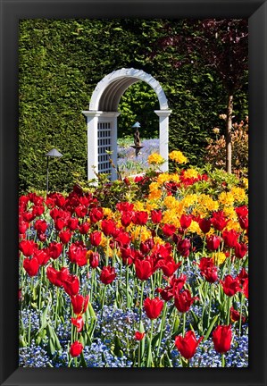 Framed Hately Gardens, Victoria, British Columbia Print