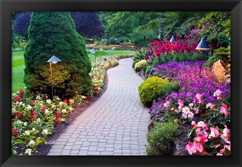 Framed Path and Flower Beds in Butchart Gardens, Victoria, British Columbia, Canada Print