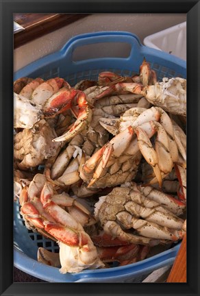 Framed Dungeness Cooked Crab, Queen Charlotte Islands, Canada Print