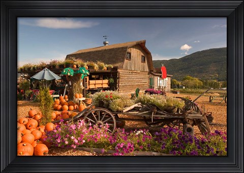 Framed Log Barn and Fruit Stand in Autumn, British Columbia, Canada Print