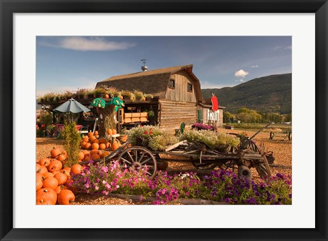 Framed Log Barn and Fruit Stand in Autumn, British Columbia, Canada Print