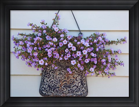 Framed British Columbia, Victoria, Decor on House boats Print