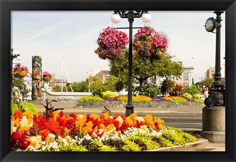 Framed Hanging Flower Baskets, Victoria, BC Print