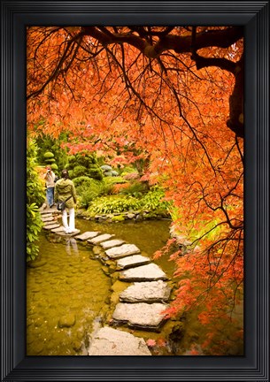 Framed Japanese Garden, Butchart Gardens, Victoria, BC Print