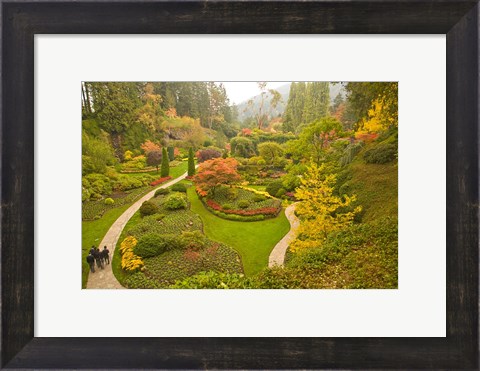 Framed Sunken Garden, Butchart Gardens, Victoria, BC Print