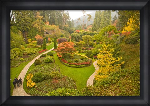 Framed Sunken Garden, Butchart Gardens, Victoria, BC Print