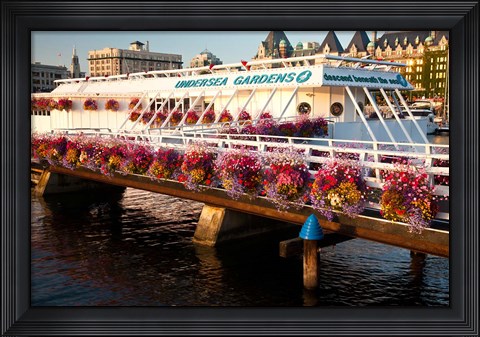 Framed British Columbia, Victoria harbor, Undersea Gardens Print