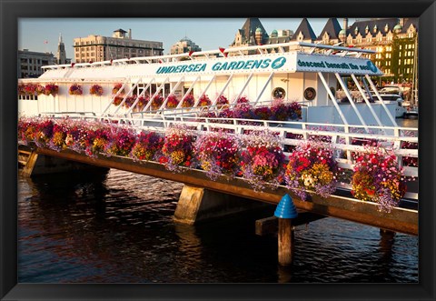 Framed British Columbia, Victoria harbor, Undersea Gardens Print