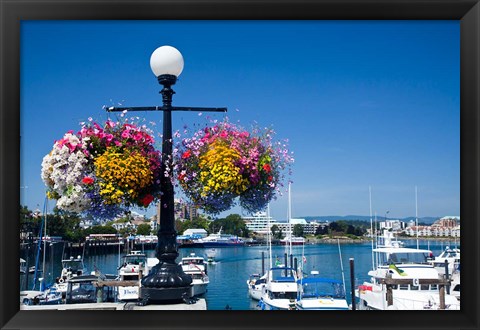 Framed British Columbia, Victoria, Boat Harbor Print