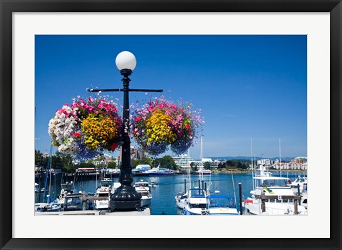 Framed British Columbia, Victoria, Boat Harbor Print