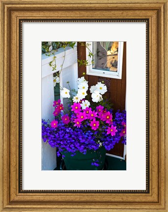 Framed British Columbia, Victoria, Flower Pot Print