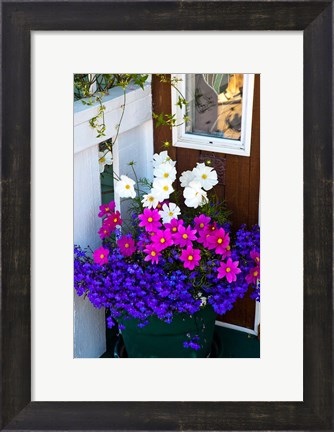 Framed British Columbia, Victoria, Flower Pot Print