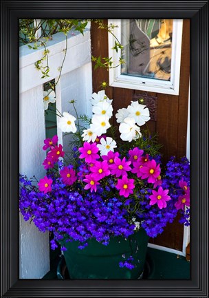 Framed British Columbia, Victoria, Flower Pot Print