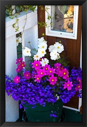 Framed British Columbia, Victoria, Flower Pot Print