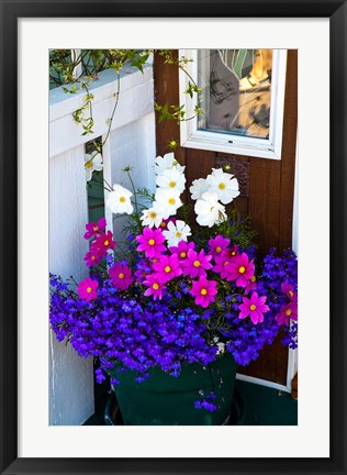 Framed British Columbia, Victoria, Flower Pot Print