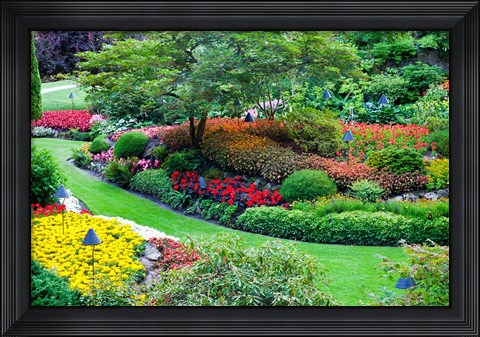 Framed Butchart Gardens in Full Bloom, Victoria, British Columbia, Canada Print