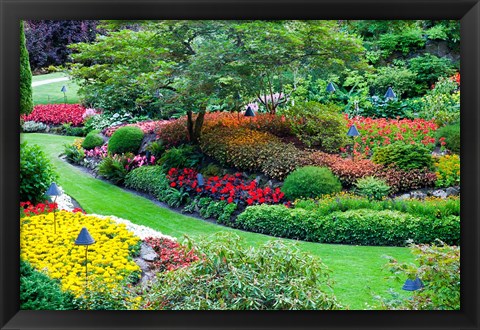 Framed Butchart Gardens in Full Bloom, Victoria, British Columbia, Canada Print