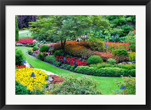 Framed Butchart Gardens in Full Bloom, Victoria, British Columbia, Canada Print